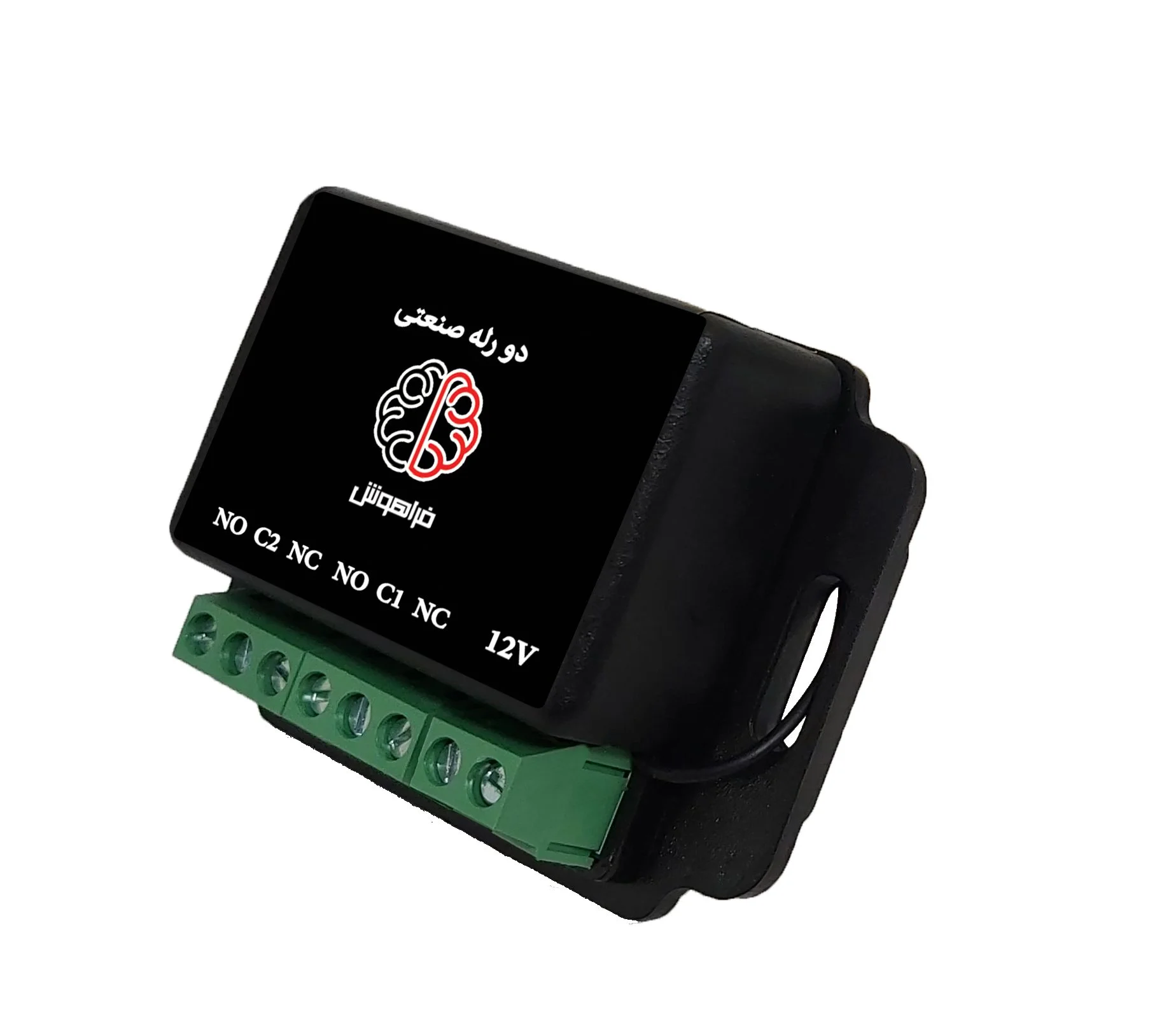 دو رله صنعتی فراهوش