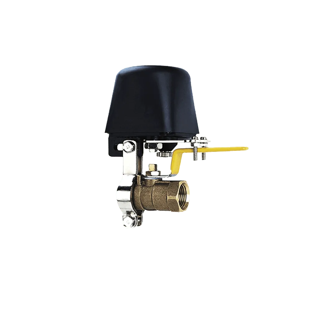 شیر برقی گاز 12 ولت فراهوش